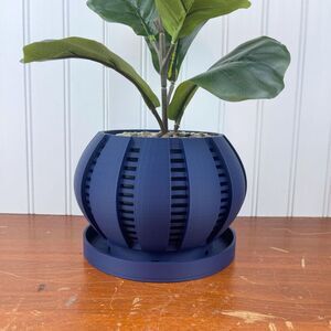 The Arik Indoor Orchid Planter Pot with Drainage Tray, Modern Unique